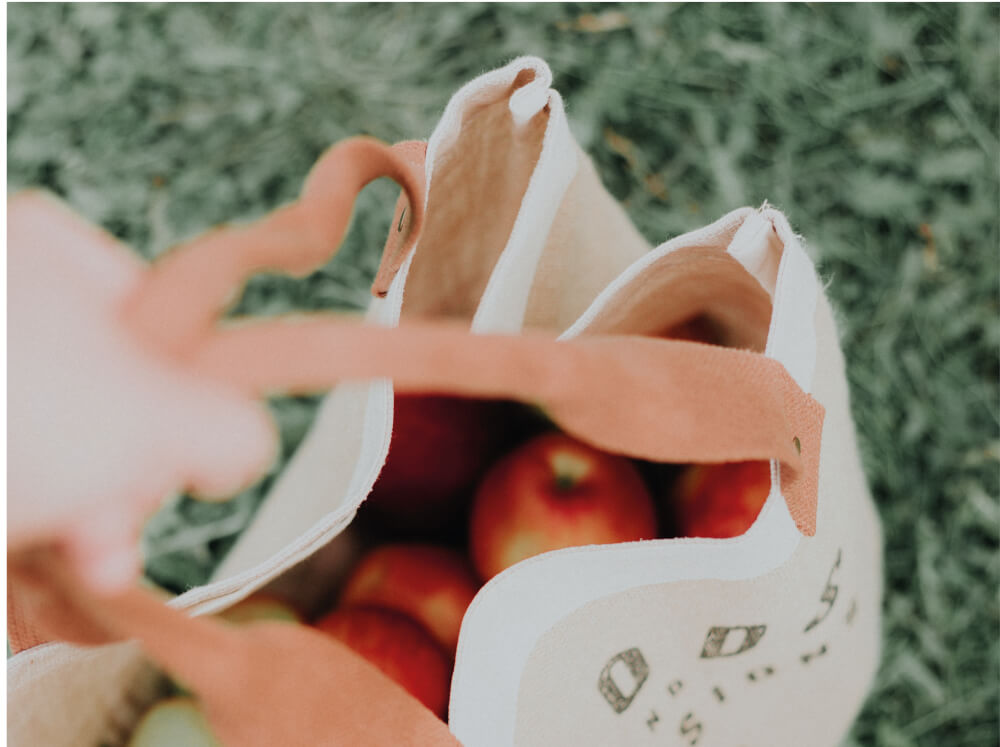 Listas de super y productos recomendados